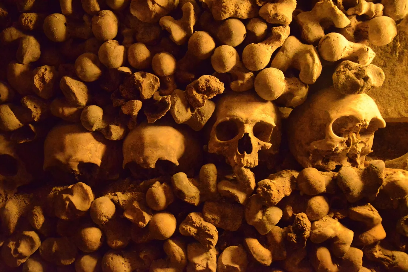 Muur van opgestapelde schedels en beenderen in het ossuarium onder Parijs
