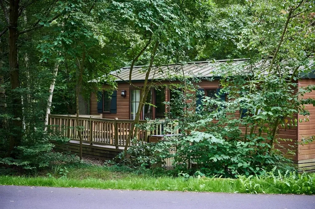 Een blokhut tussen de bomen op Davy Crockett Ranch