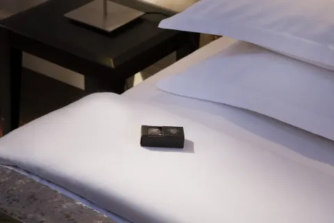 Hotel Ares Eiffel in Parijs, interieur